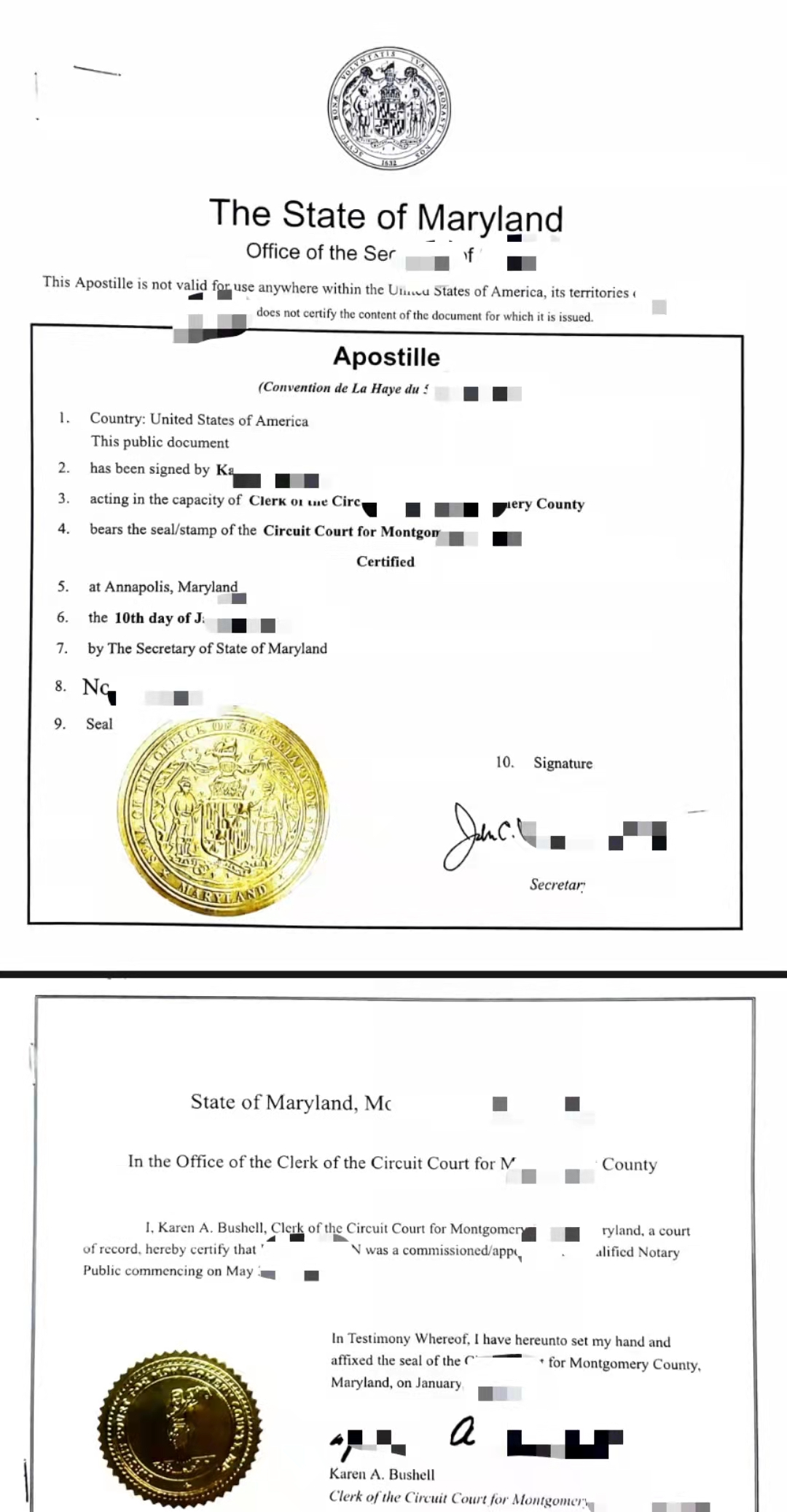 成绩单海牙认证学位证海牙认证